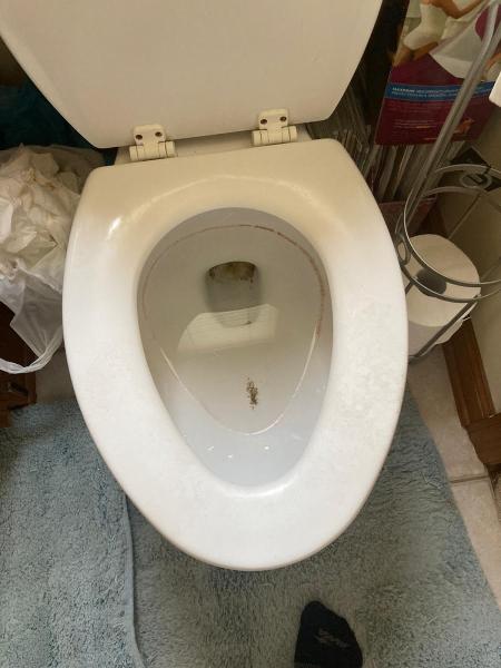 Zuri Organic Cleaning 412