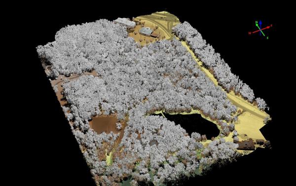 Hdms & Standard GIS