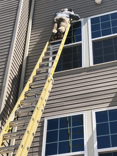 Old Bay Pest Control