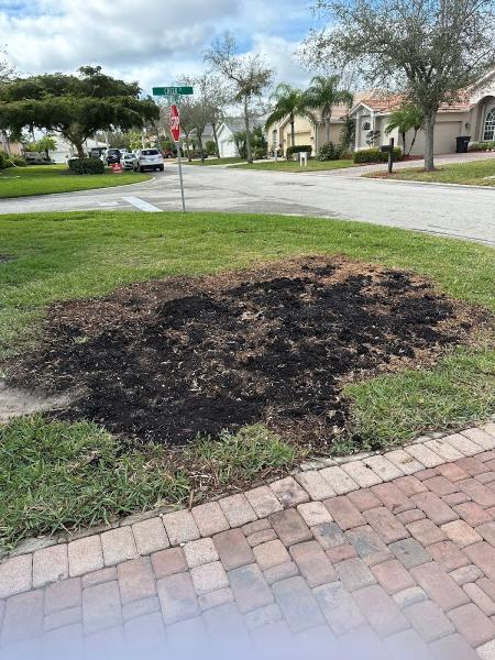 Island Tree Service
