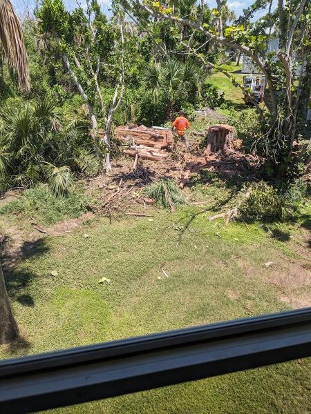 Island Tree Service
