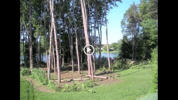 Landscape Guys