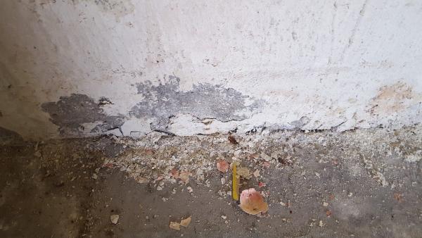 SD Mold Inspection