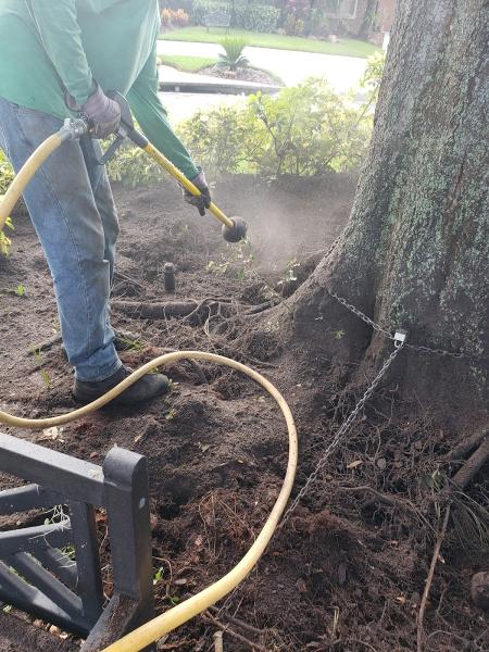 Anglin Brothers Tree Care