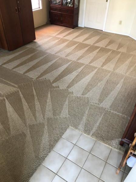 Magic Carpet & Upholstery Cleaning