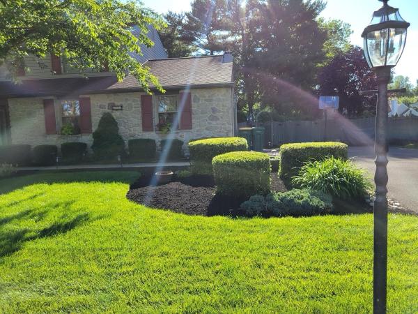 Jaiven Perez Landscaping