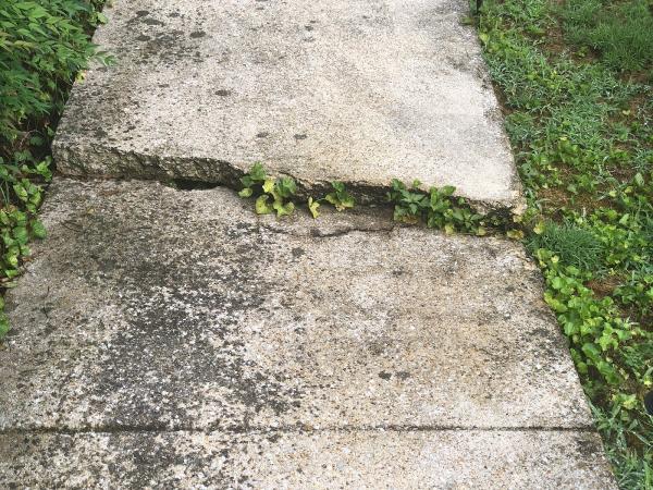 Yerbey Concrete Construction