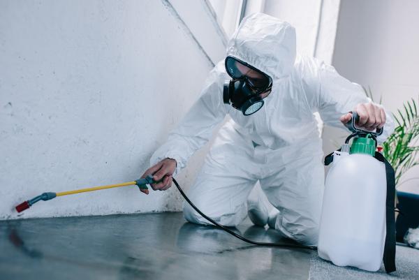 Ojai Termite & Pest Control
