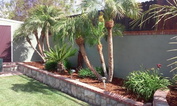 Jose Medina Landscaping