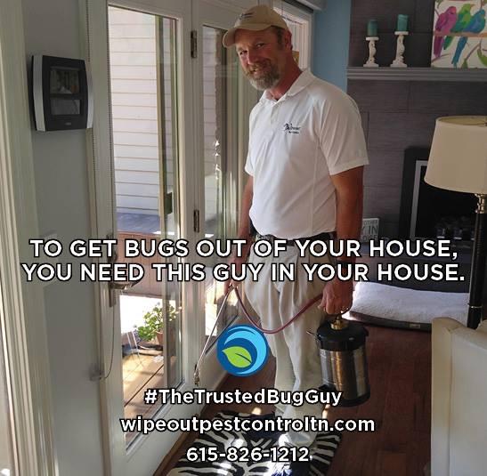 Wipeout Pest Control