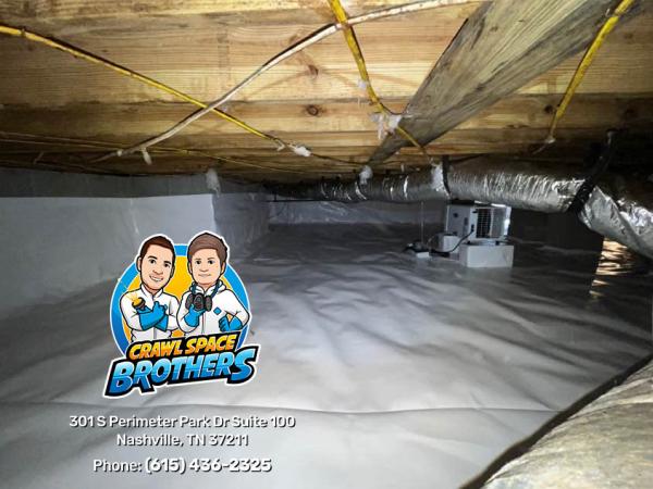 Crawl Space Brothers