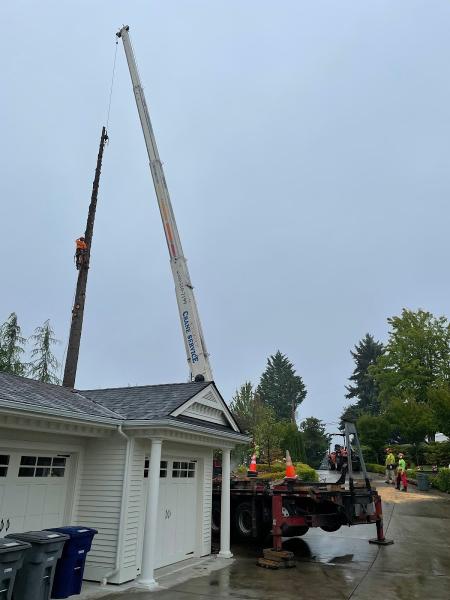 Eastside Timber & Property Development