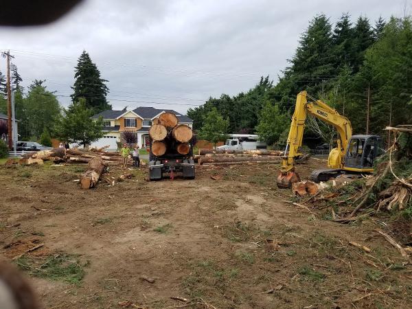 Eastside Timber & Property Development