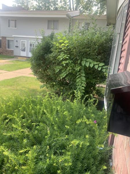Di Santo Co General Landscaping