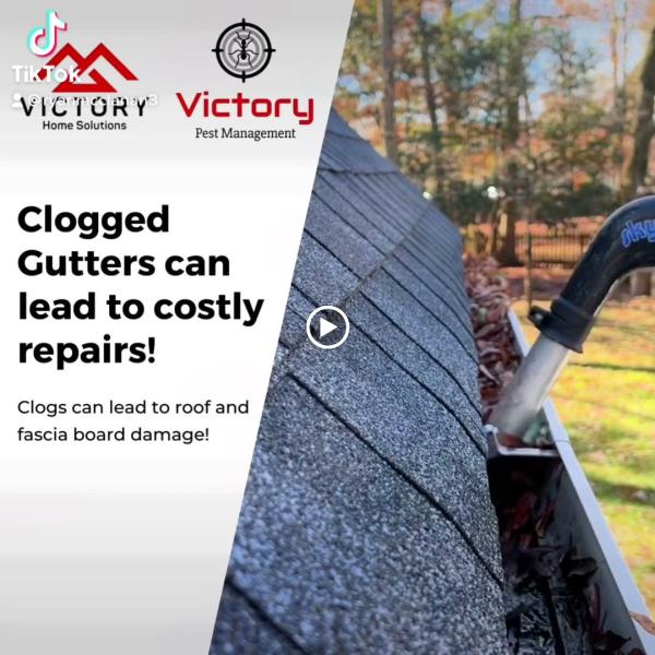 Victory Pest Management LLC