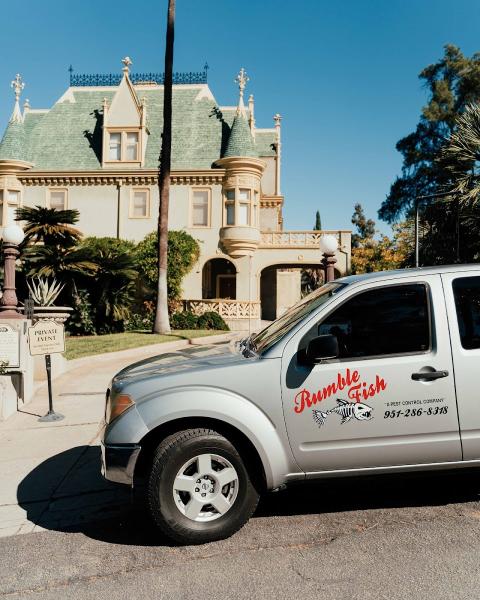 Rumble Fish Pest Control