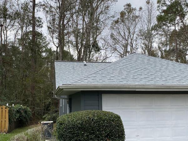 Longleaf Environmental Consulting
