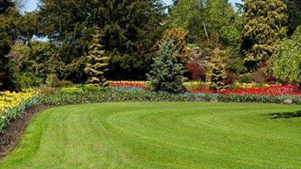 Premier Outdoor Services