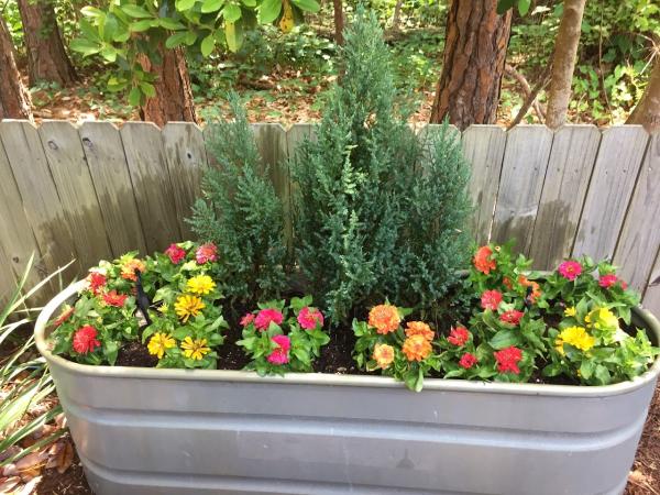 Eco Green Solutions LLC