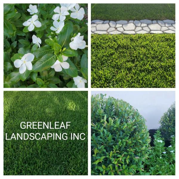 Greenleaf Landscaping Inc