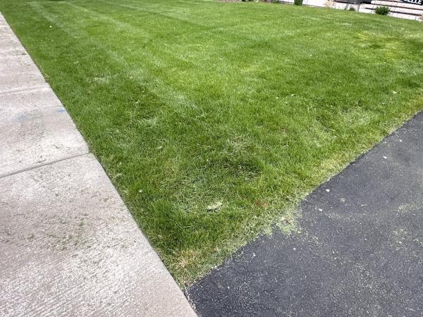 College Pros Landscaping