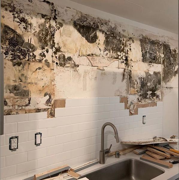 J & T Water Damage Services