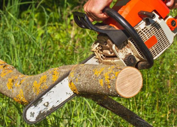 St Lucie Tree Service
