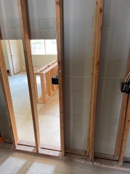 Boise Mold Removal