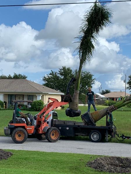 Target Horticultural Services