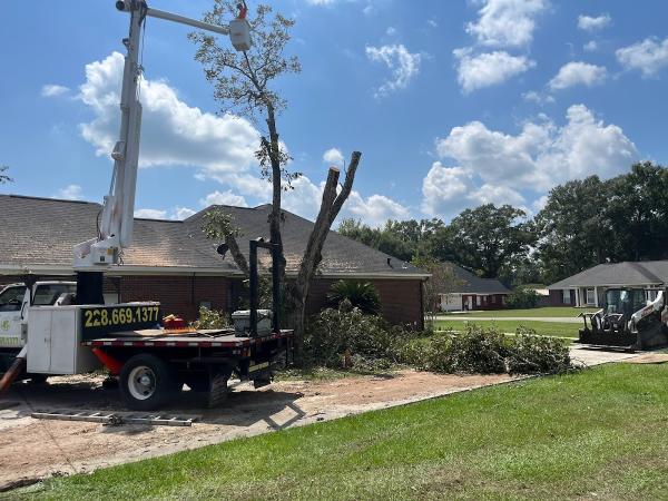 Southern Magnolia Tree Service LLC