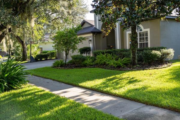 Home Pest Control Tampa Your Green Team