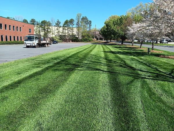 Stewart's Lawn and Landscaping