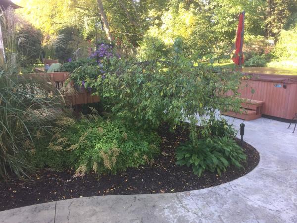 Ortega Landscaping Service Inc