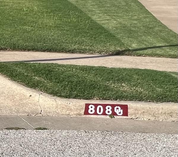 BA Curb and Chimney