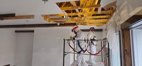 Abatex Environmental Services