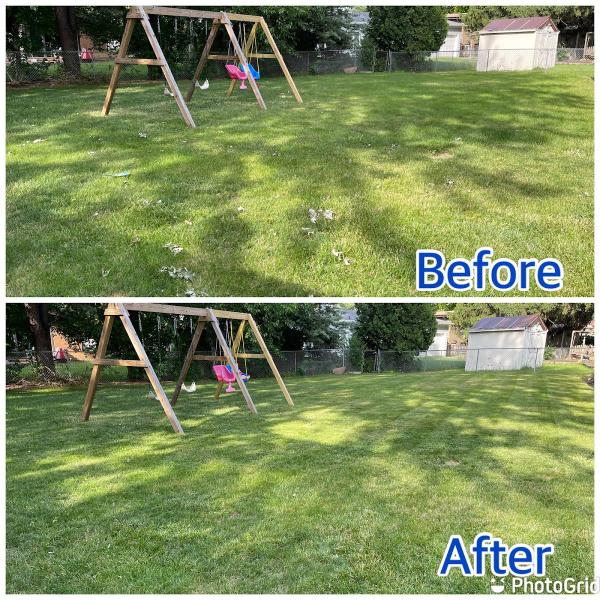 Quiet Cuts Electric Lawn Care