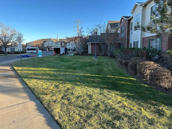 Dang Lawn Service (Dls)