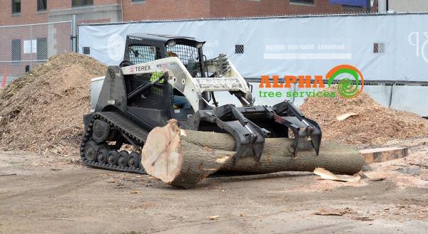 Alpha Tree Services Llc