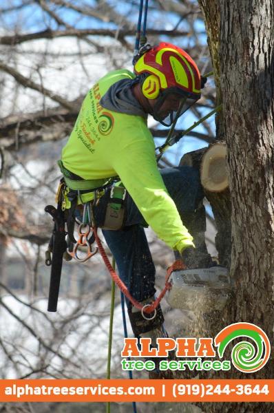 Alpha Tree Services Llc