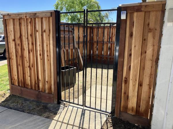 Seahorse Fencing
