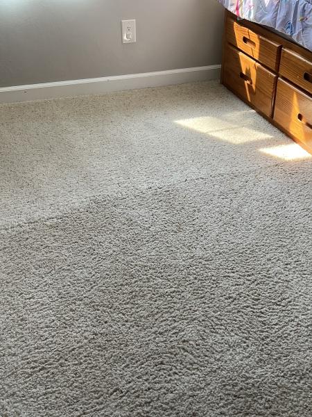 Healthy Home Cleaning Services