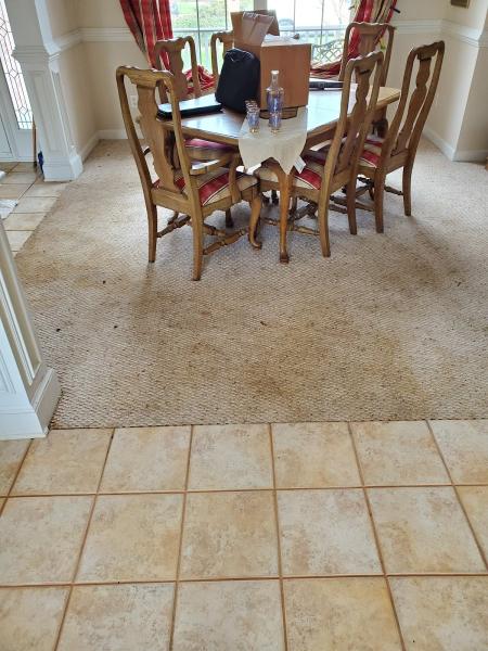 Healthy Home Cleaning Services