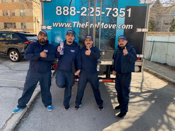 The Professionals Moving Specialists