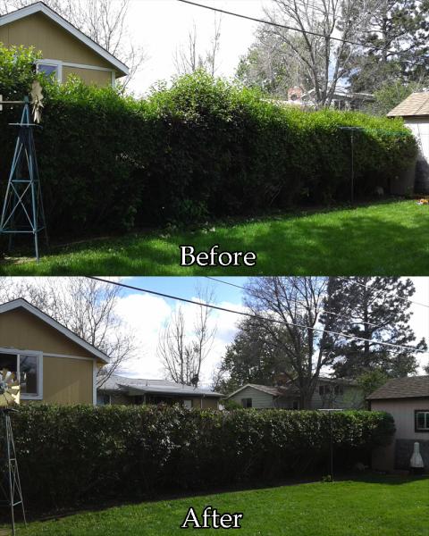 Tanglewood Tree and Lawn LLC