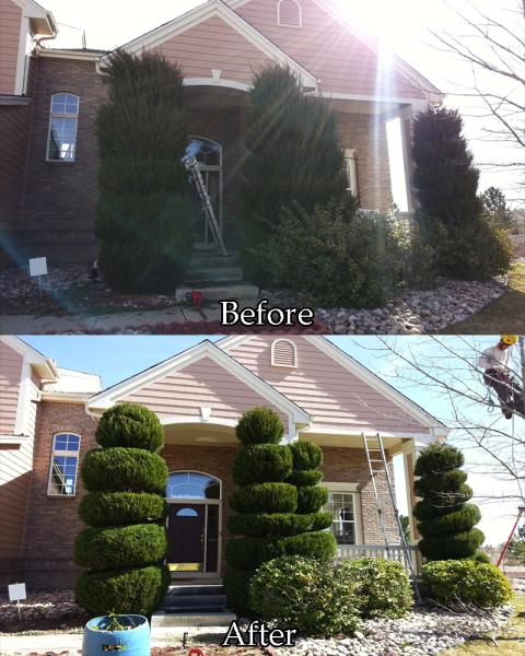 Tanglewood Tree and Lawn LLC