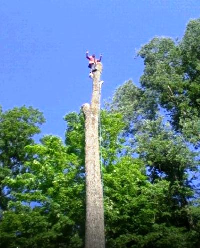Arborist Professionals by Midwestern Tree Experts