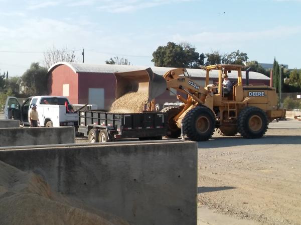 Boxwood Landscape & Construction