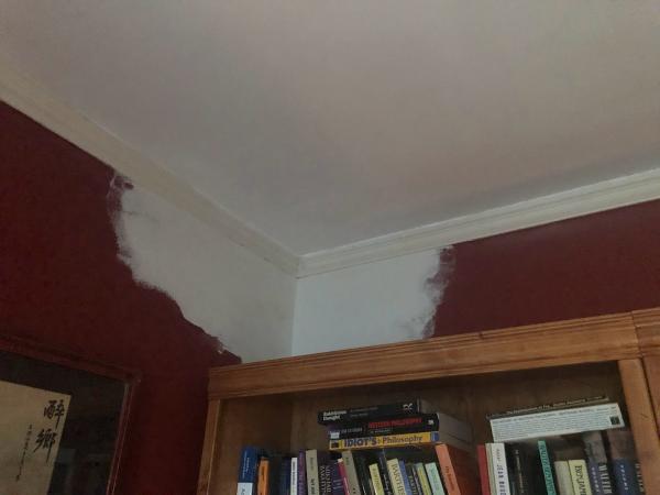 Top Notch Drywall & Plaster Repair