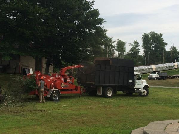 Princeton Tree Services