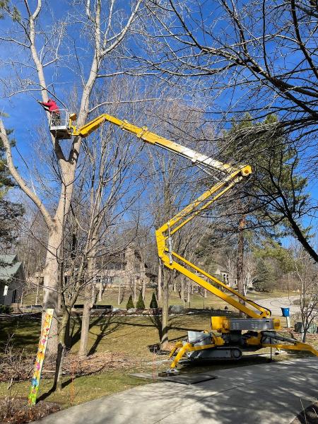 United Outdoor Services